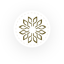 Beautiful Moments You will Never Forget